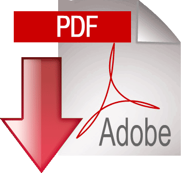 PDF File